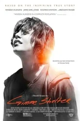 Gimme Shelter (2013) Movie Poster