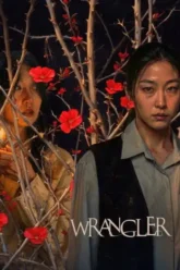 Wrangler (2026)